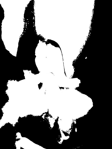 Beeldexperiment