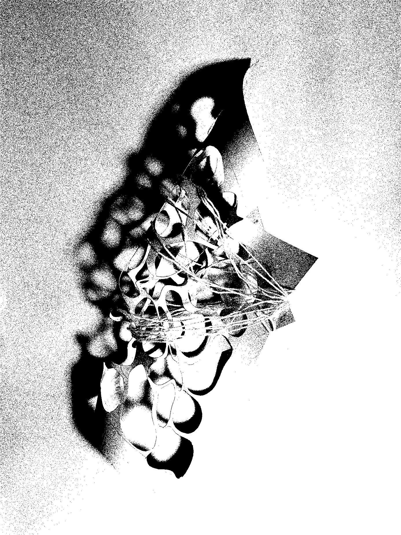 Beeldexperiment